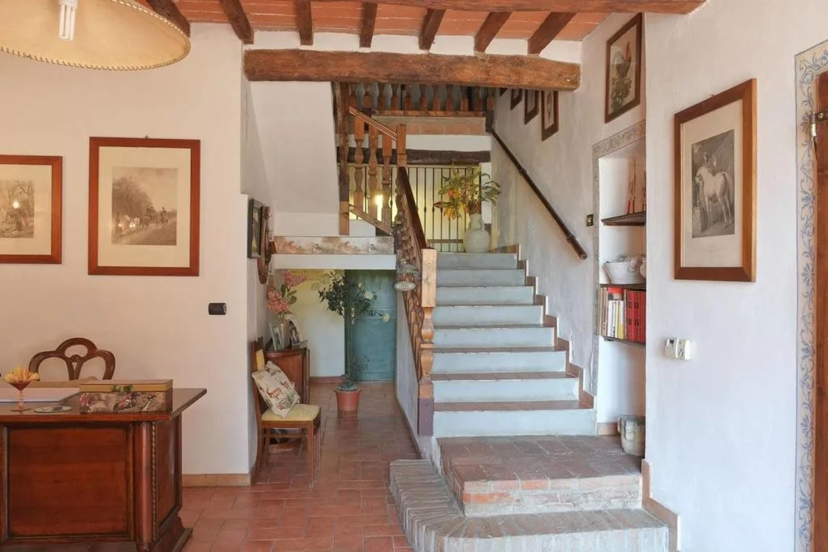 Il prato dei conigli