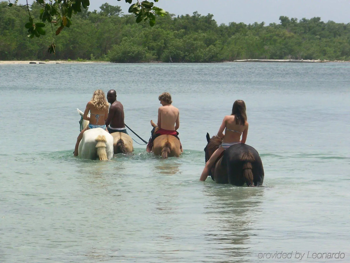 Rhodes Resort Jamaica