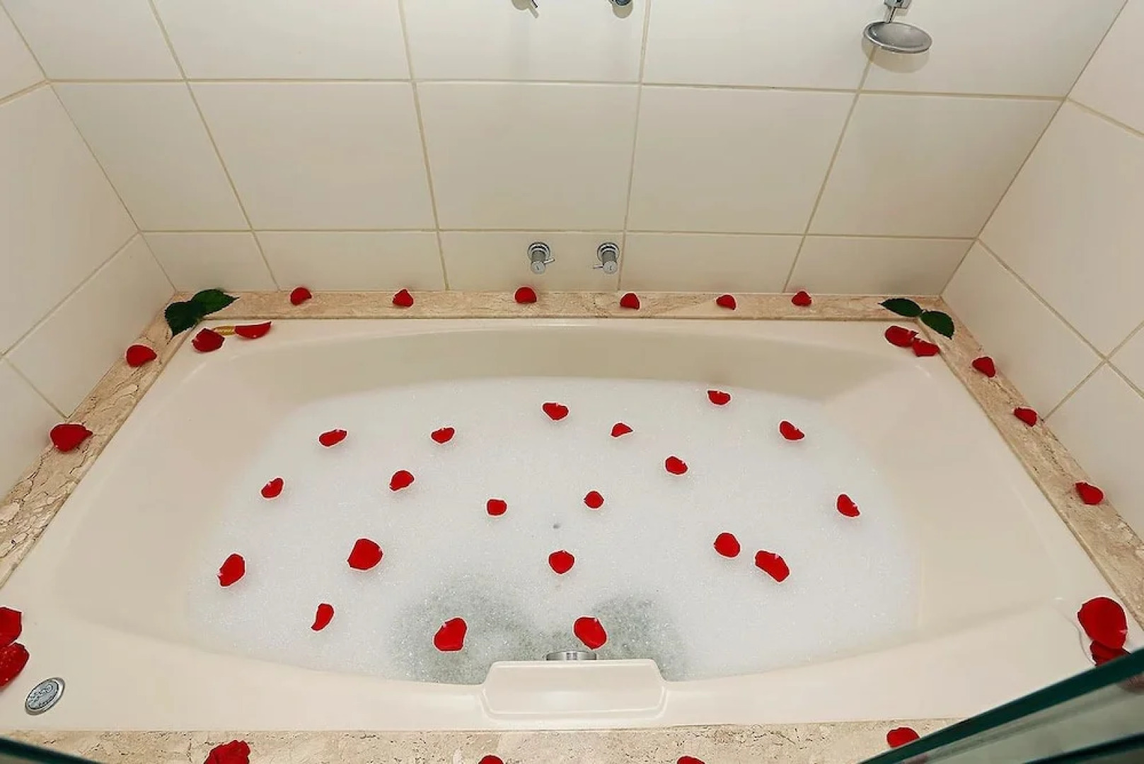 Floresta Amazônica Hotel