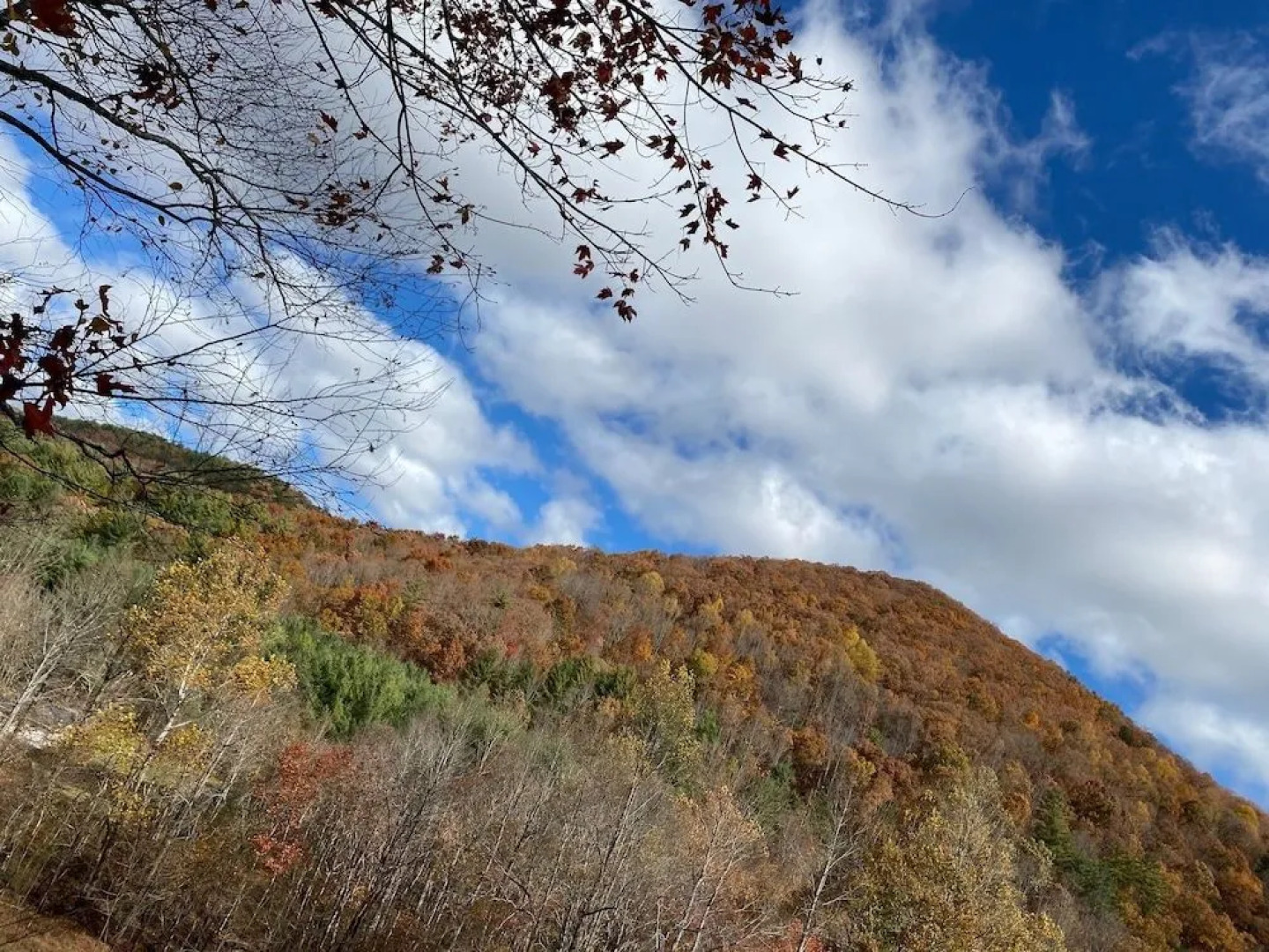 Southern Oak 2 Bedroom Cabin by Redawning