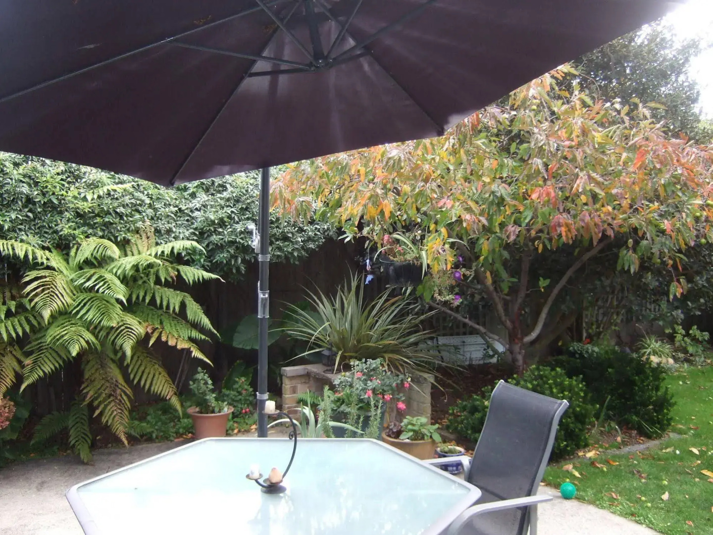 Jade Owl Bed and Breakfast