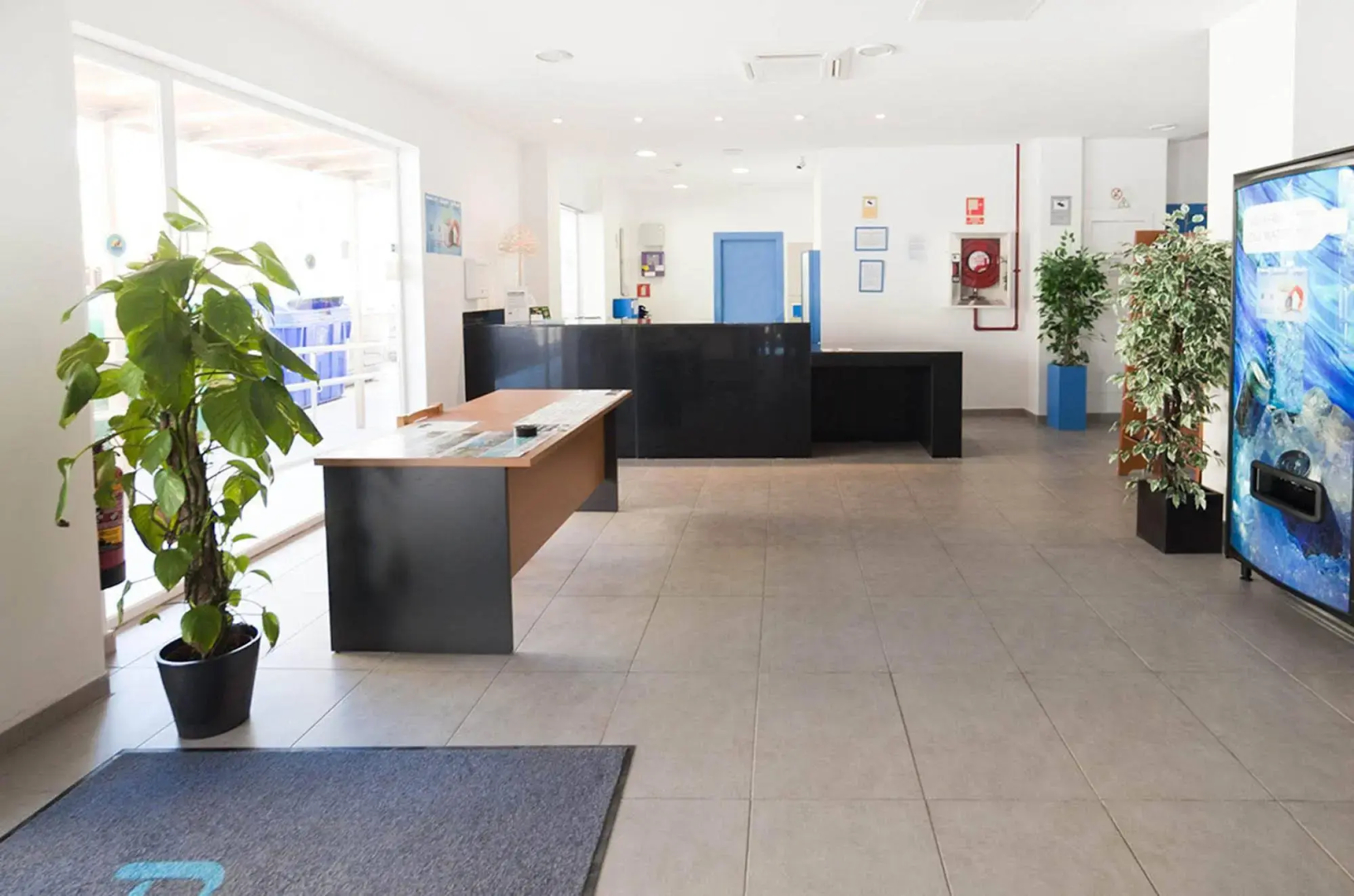 Apartamentos Formentera 2