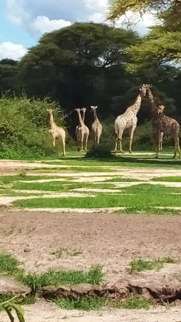 Beulah Court Vineyard Guest House