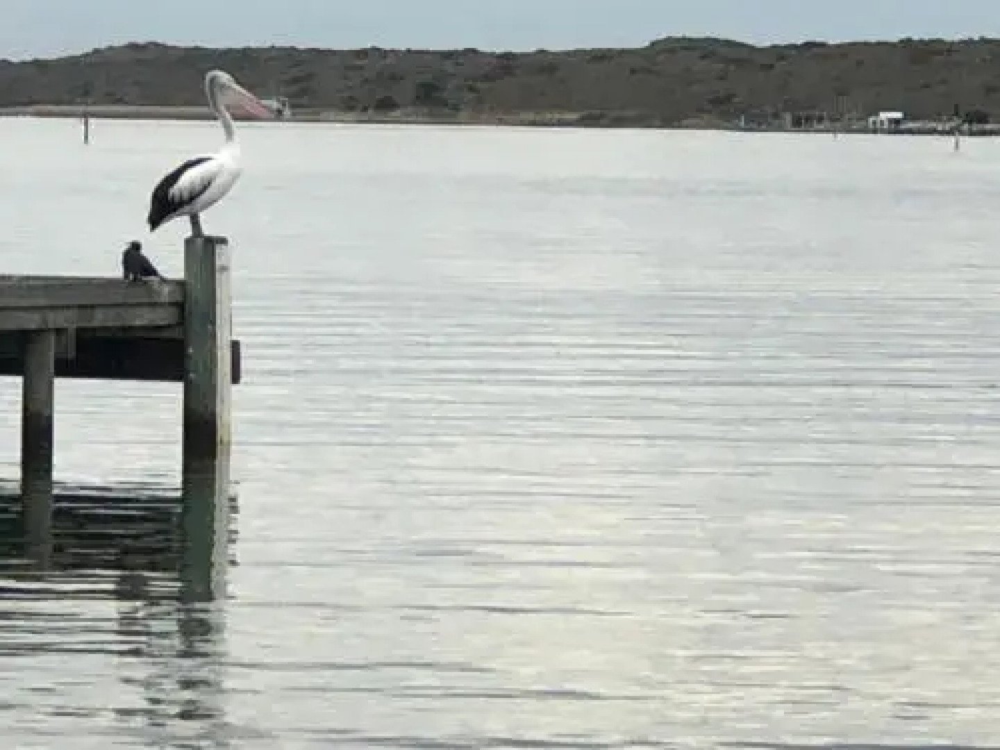 Goolwa Mariner’s Cottage - Free Wifi and Pet Friendly - Centrally located in Historic Region