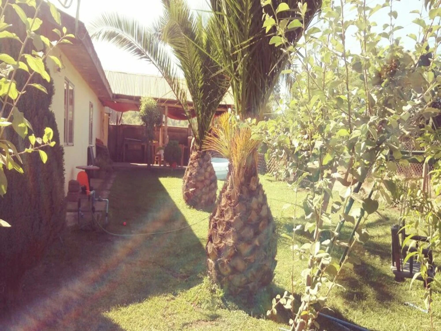 Casa Hostal El Aromo