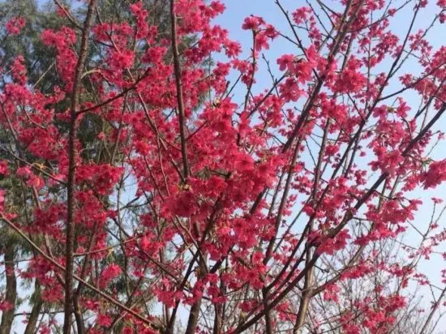 Mandenburg Hot Spring Resort Hotel（Fogang Hemingzhou）