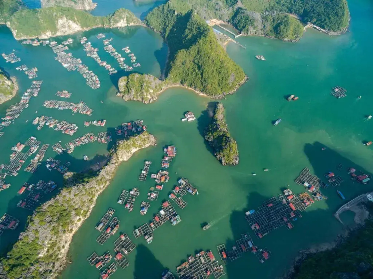 Cat Ba Seaview Hotel