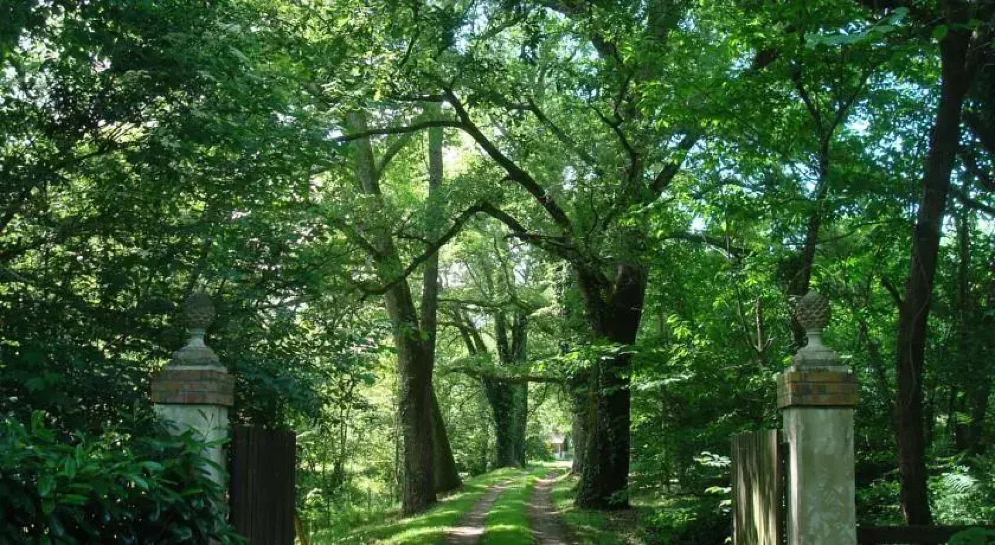 LAirial aux Châtaignes