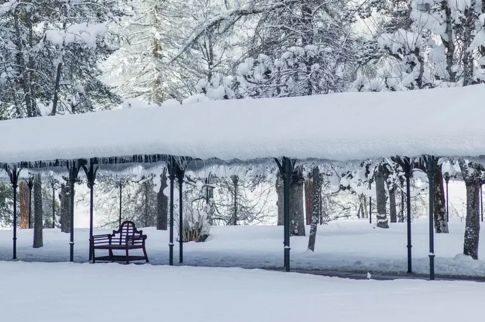 Waldhaus Flims Mountain Resort and Spa