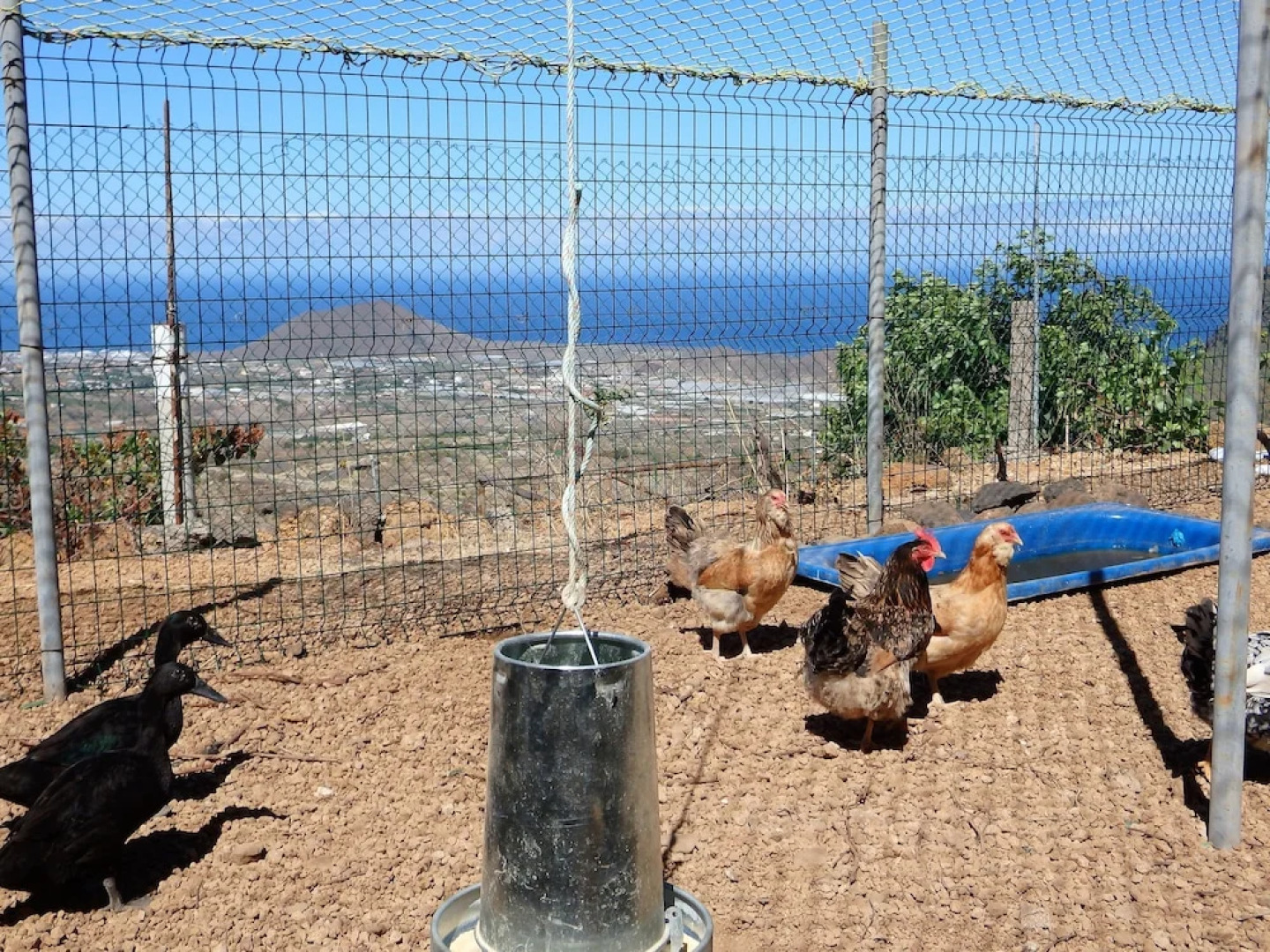 Finca Ángeles