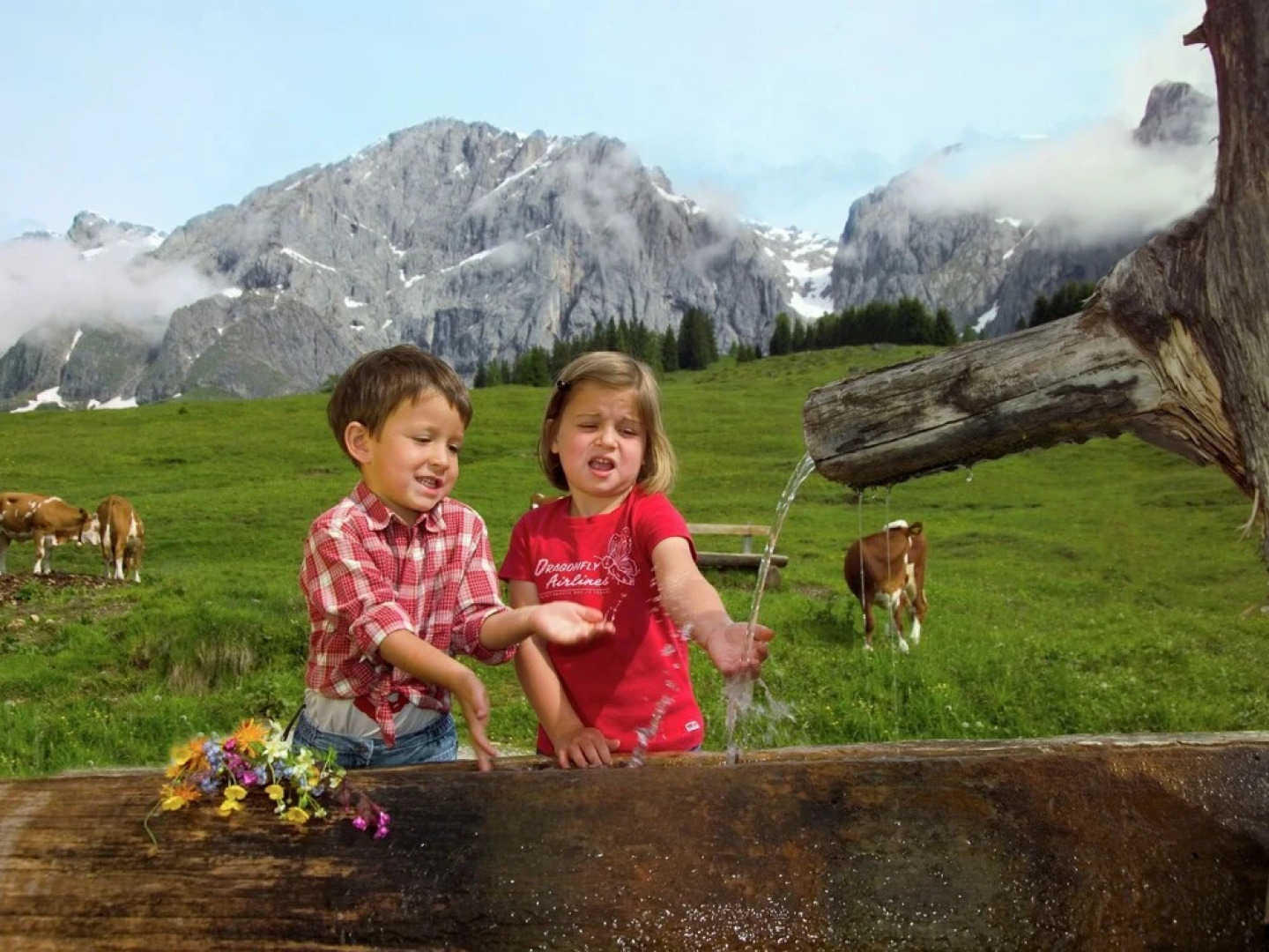 Contemporary Apartment With Ski Storage, Parking, Heating