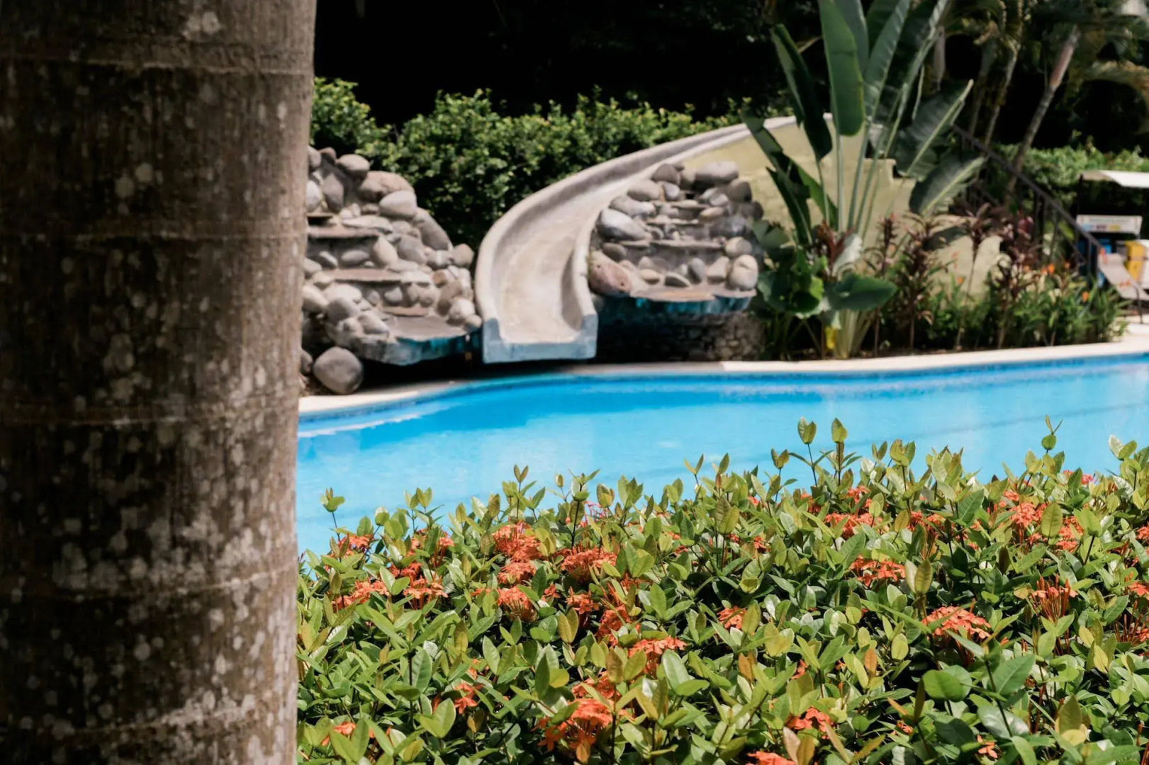 Club Del Cielo Condominium Rental