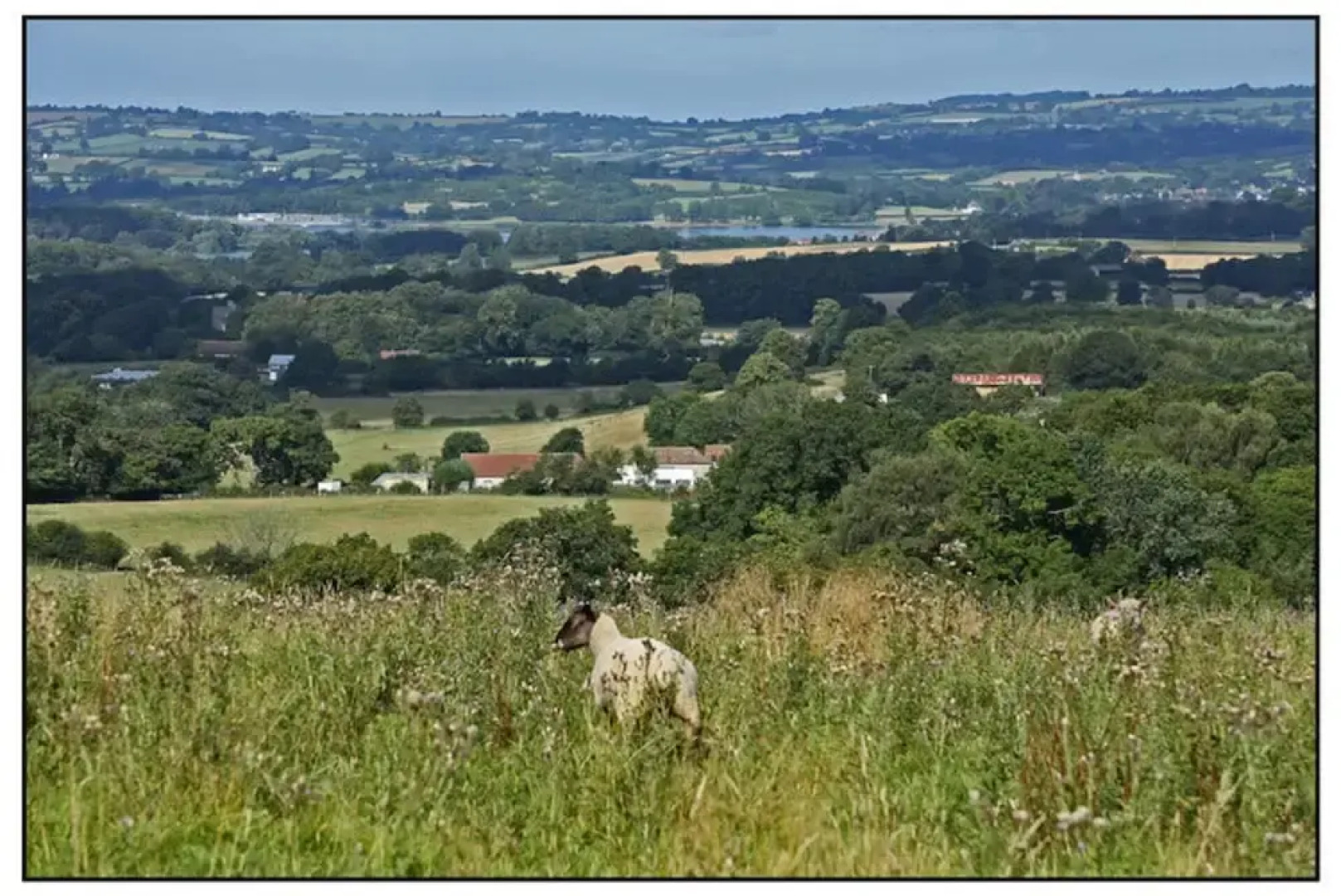 Converted Farm Buildings in 250acre Nature Reserve