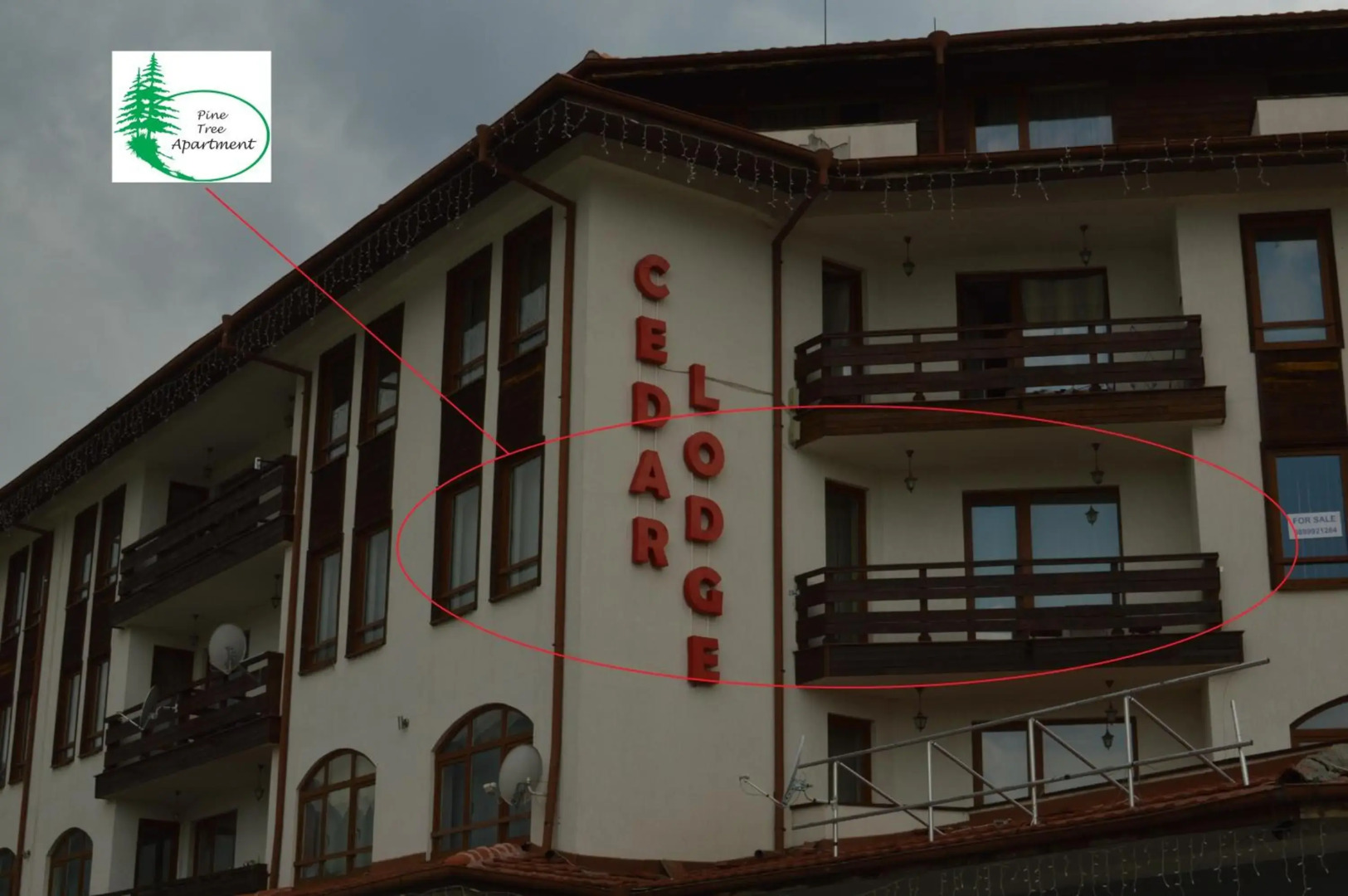 Pine Tree Apartment D34