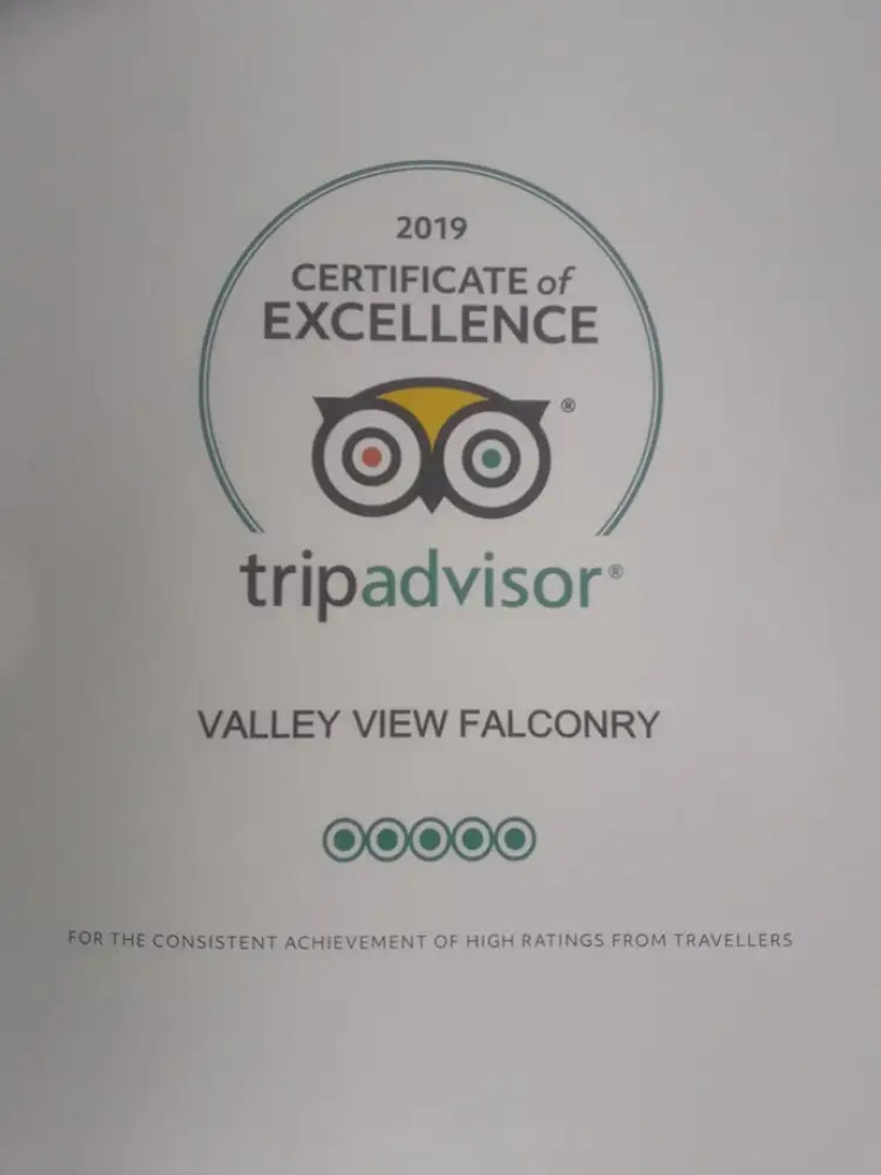 Ruby Shepherds hut Sleeps 4