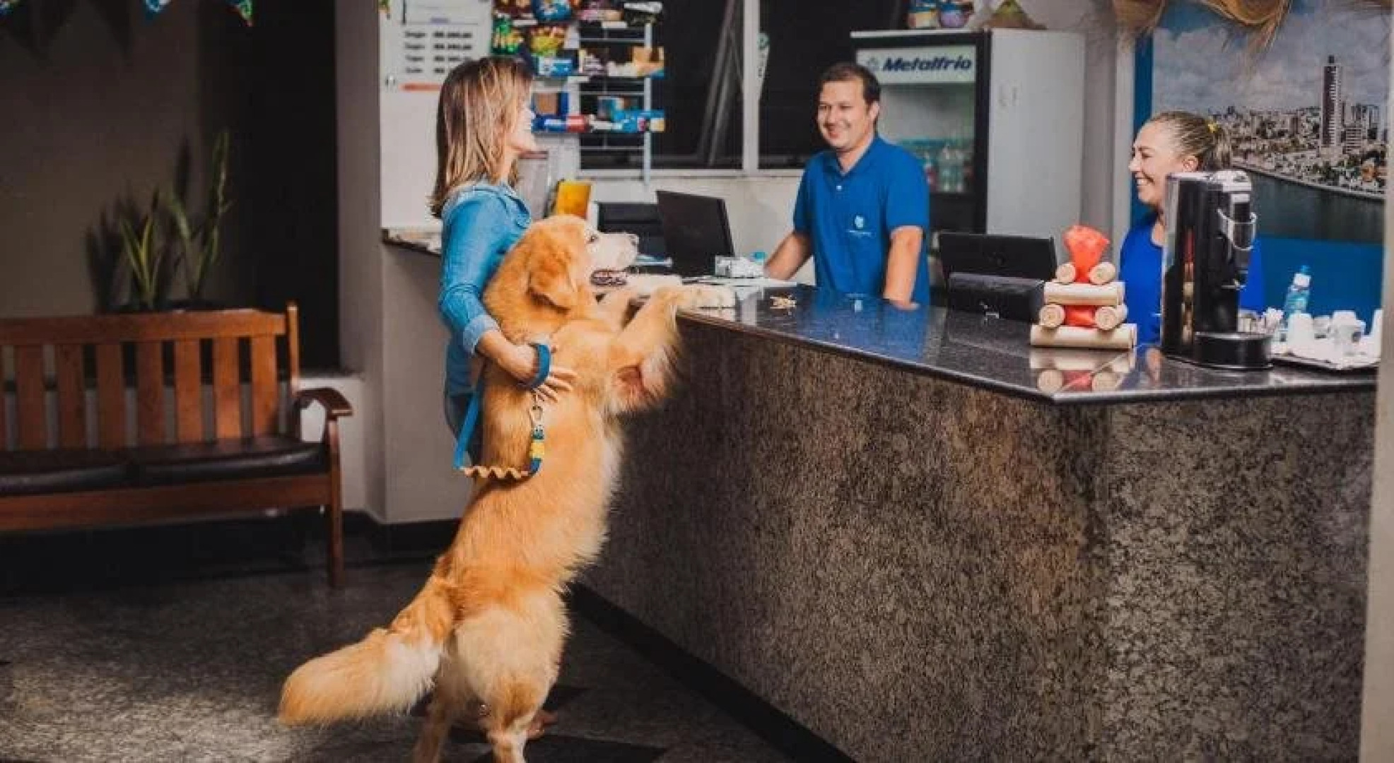 Hotel do Vale Express