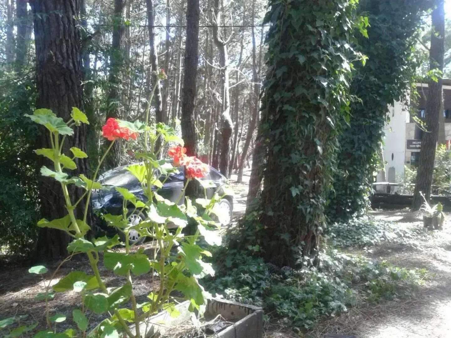 Cabañas De La Abuela