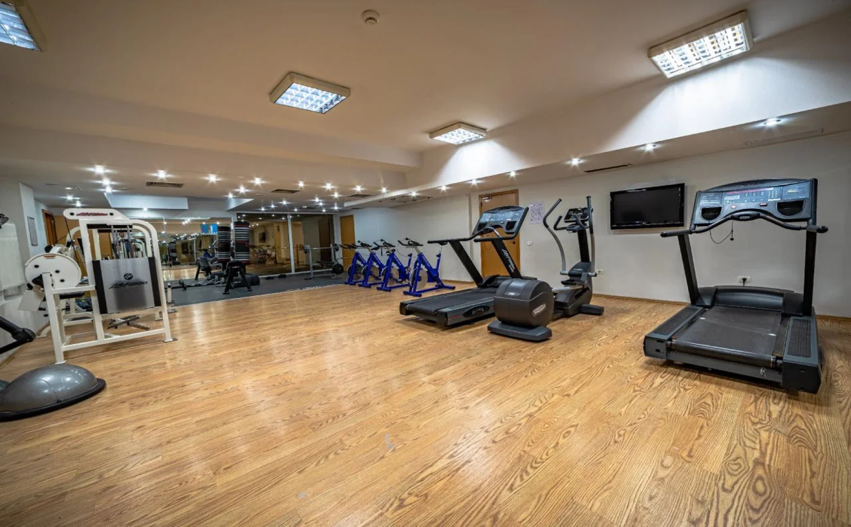 Alexandrion Experience