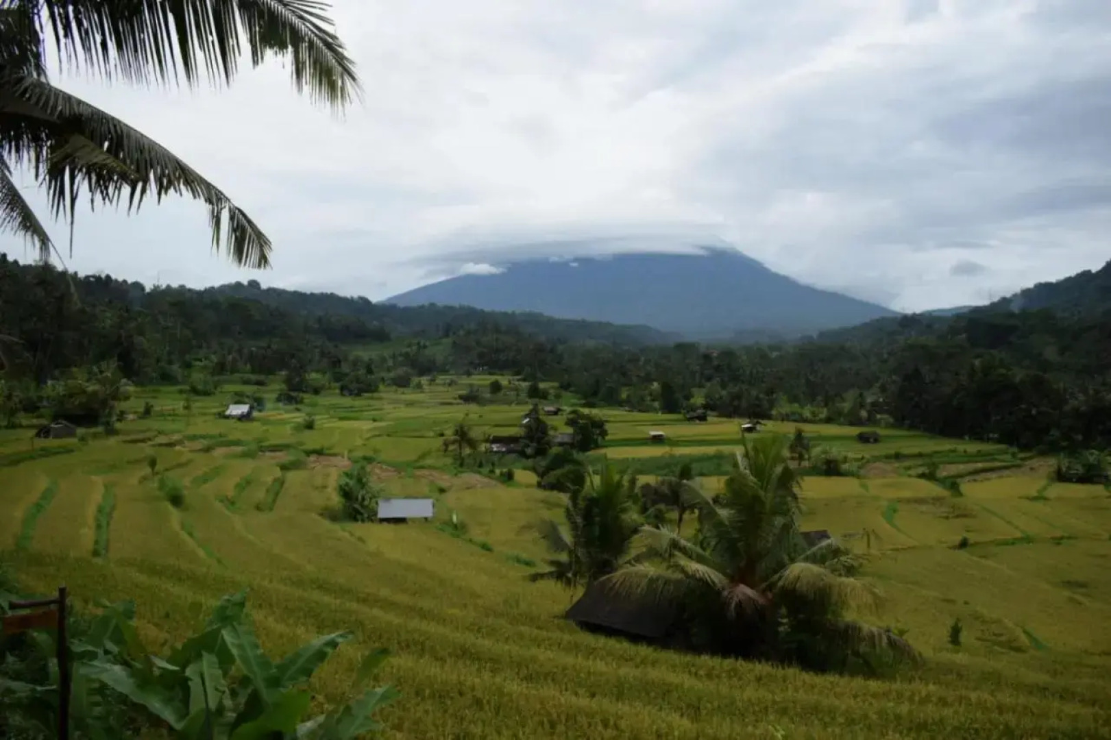 Villa Uma Ayu Sidemen