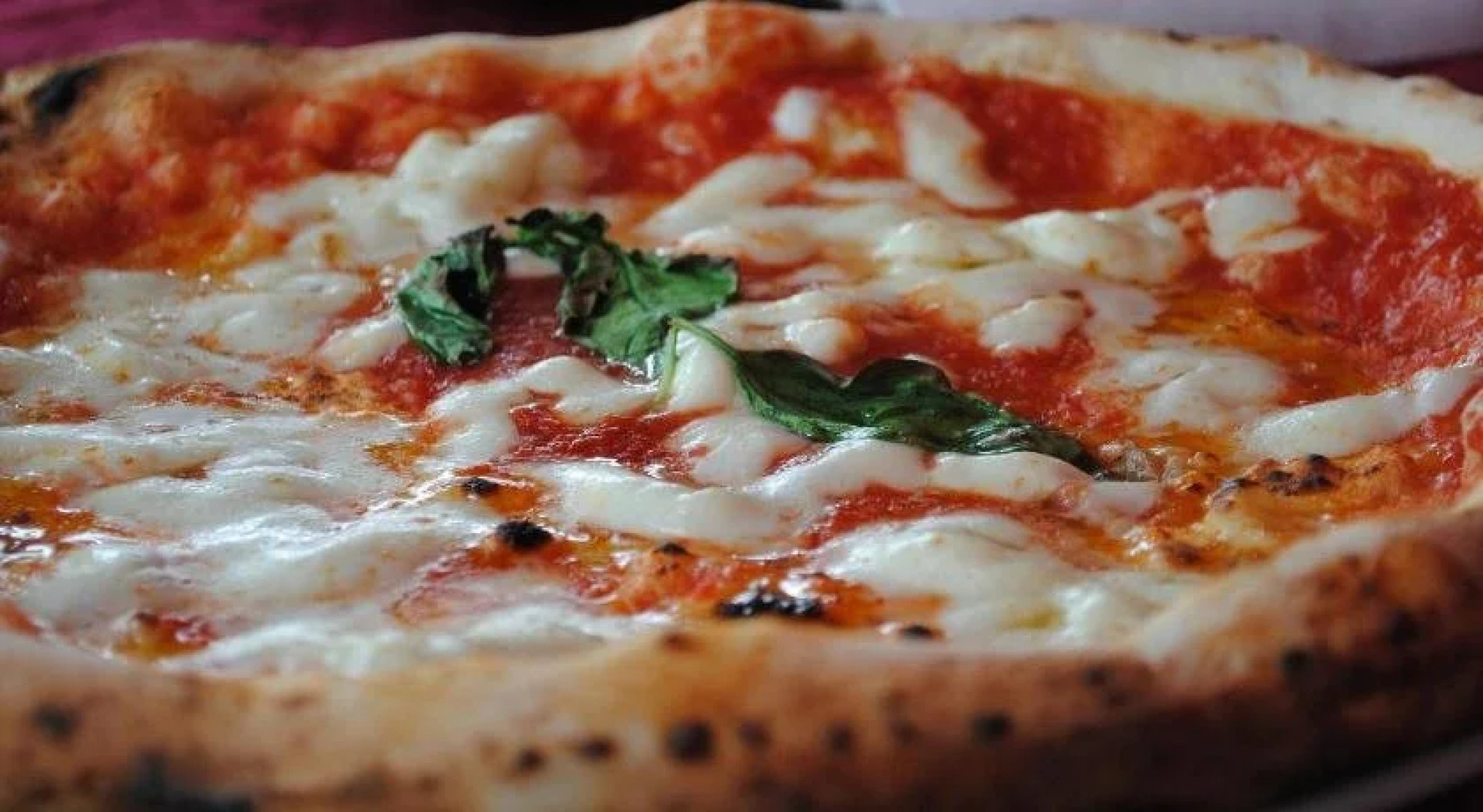 Casa Vacanza Villa Lesto