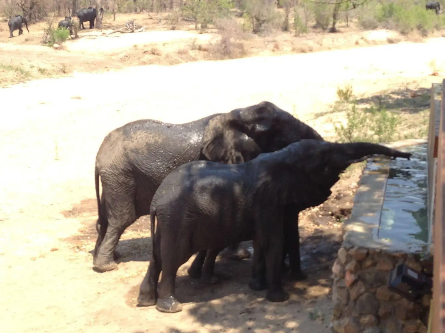 Klaserie Sands River Camp