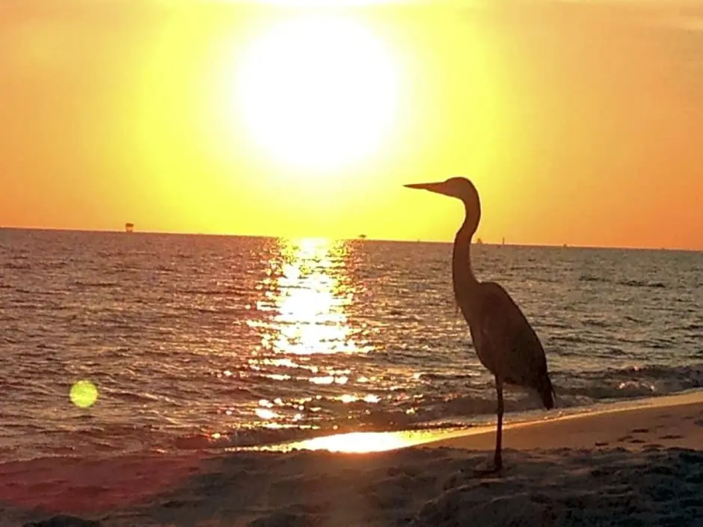Sunny Gulf Shores Plantation Condo by RedAwning