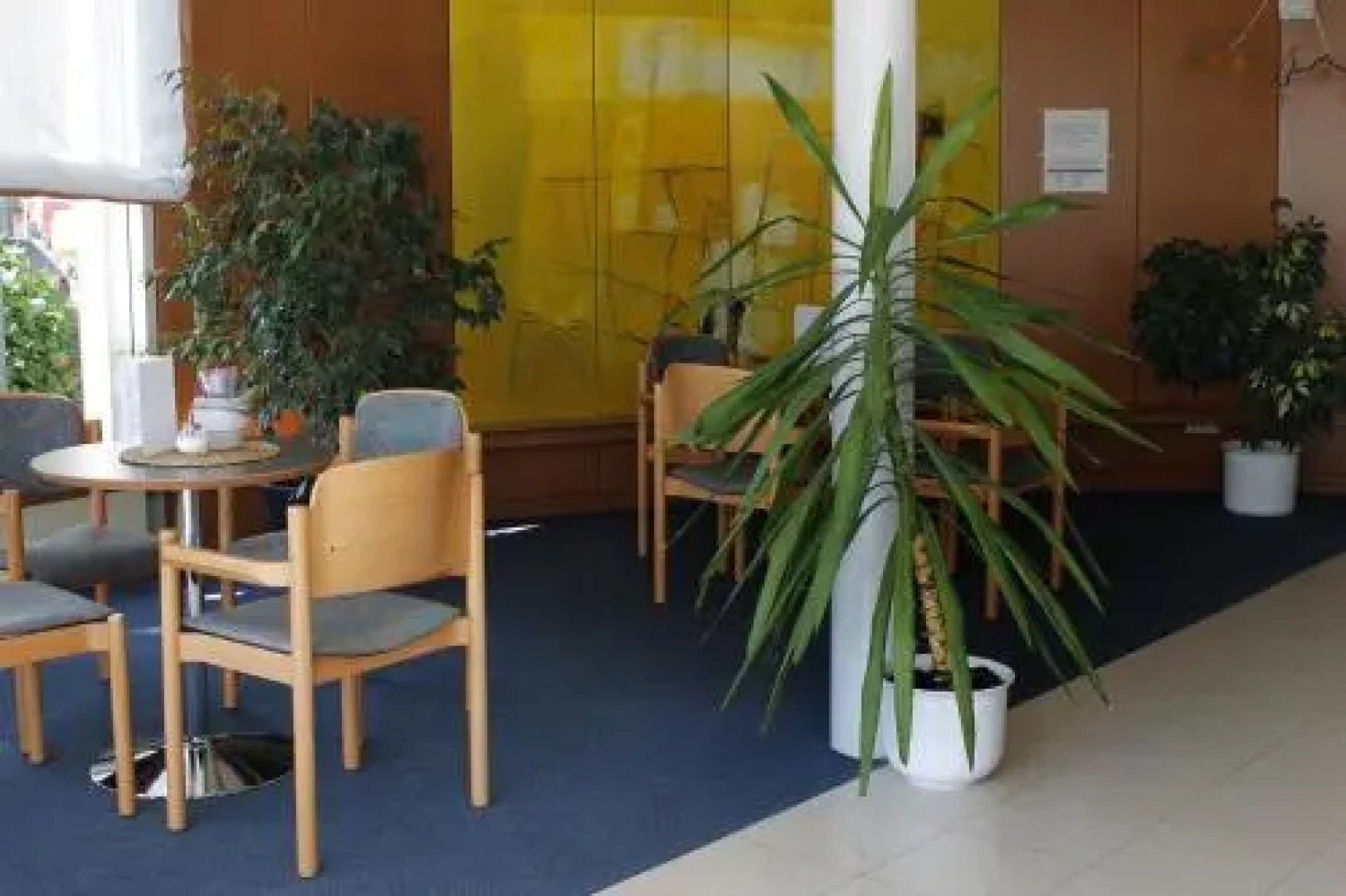 Sternenhimmel Schwanau