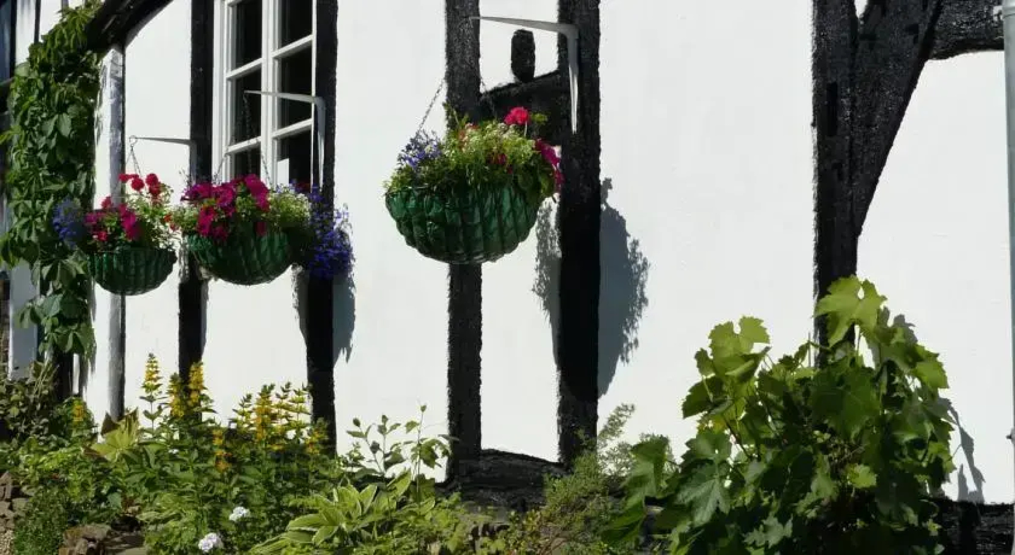 Vine Cottage