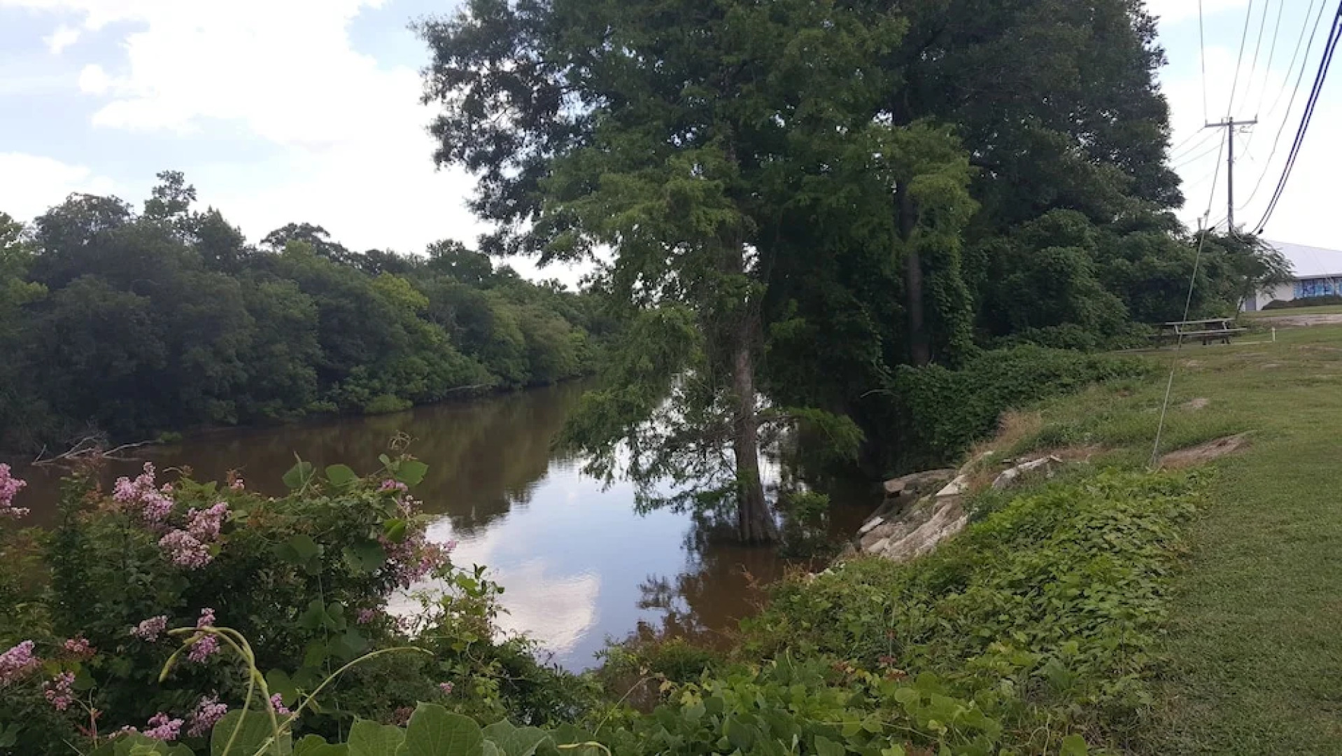 Red Carpet Inn & Suites