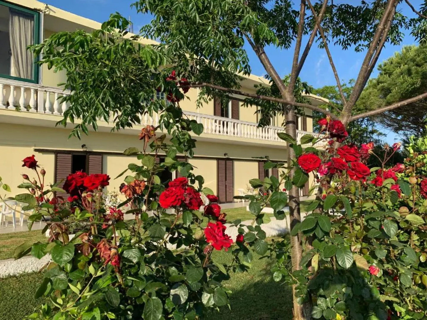 Family Studios Aparthotel