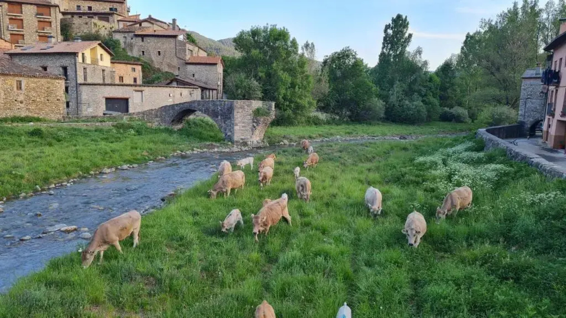 Apartament Vent de Port