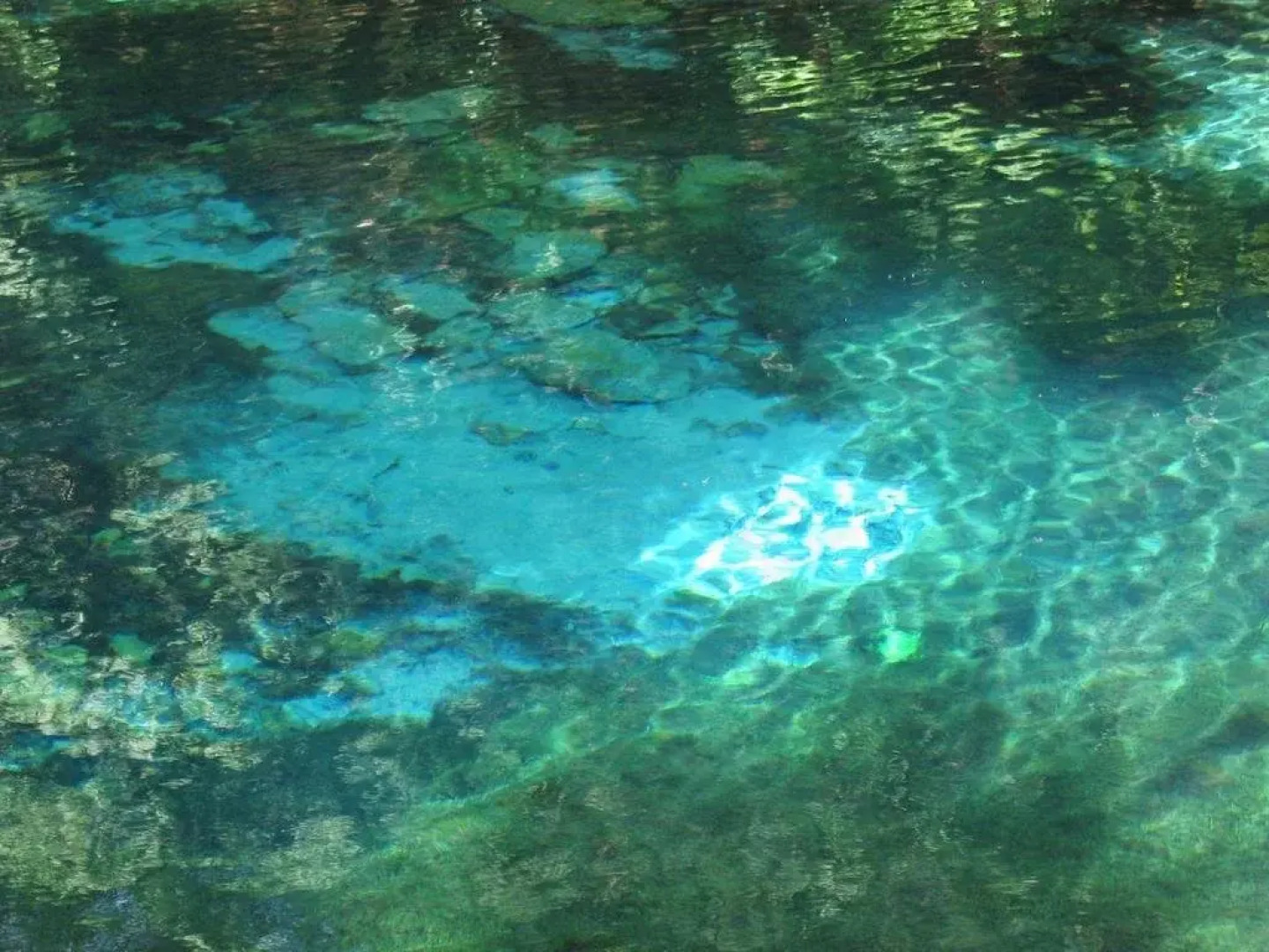 Hotel Gasthof Blaue Quelle