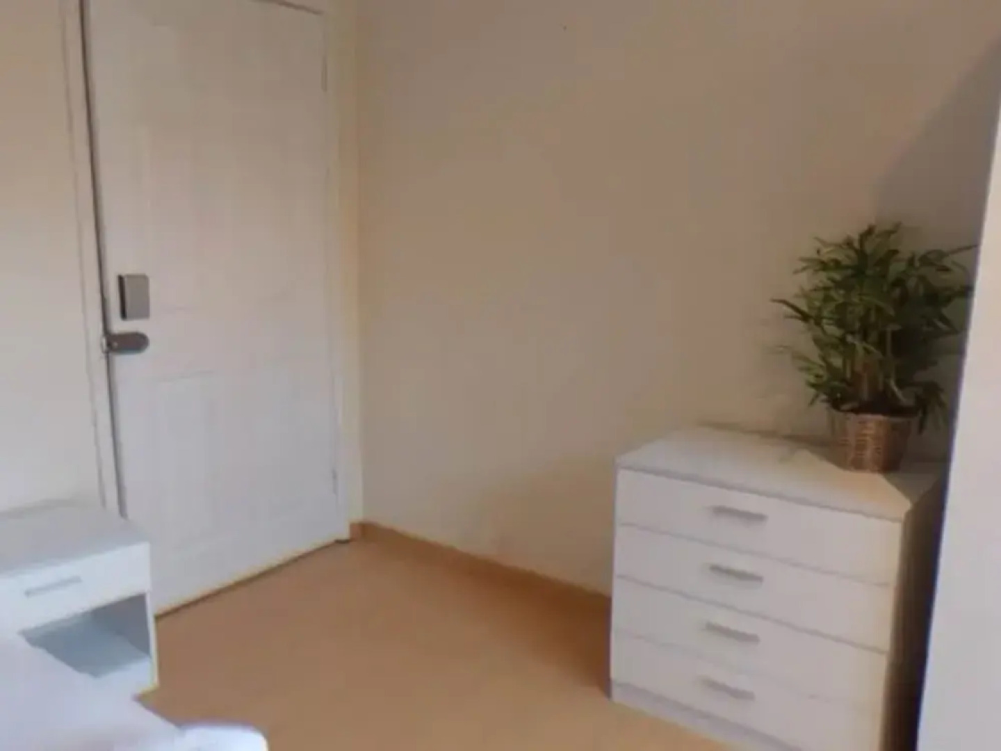 Jaylets Budget Leicester