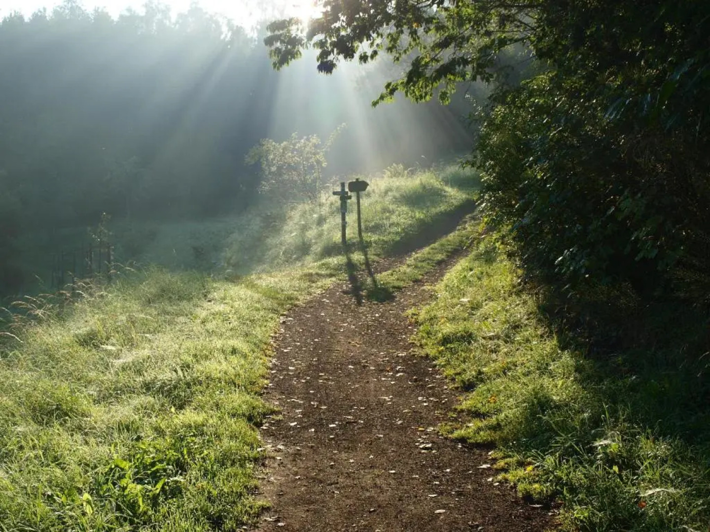 Ferienwohnung Zauberhaft