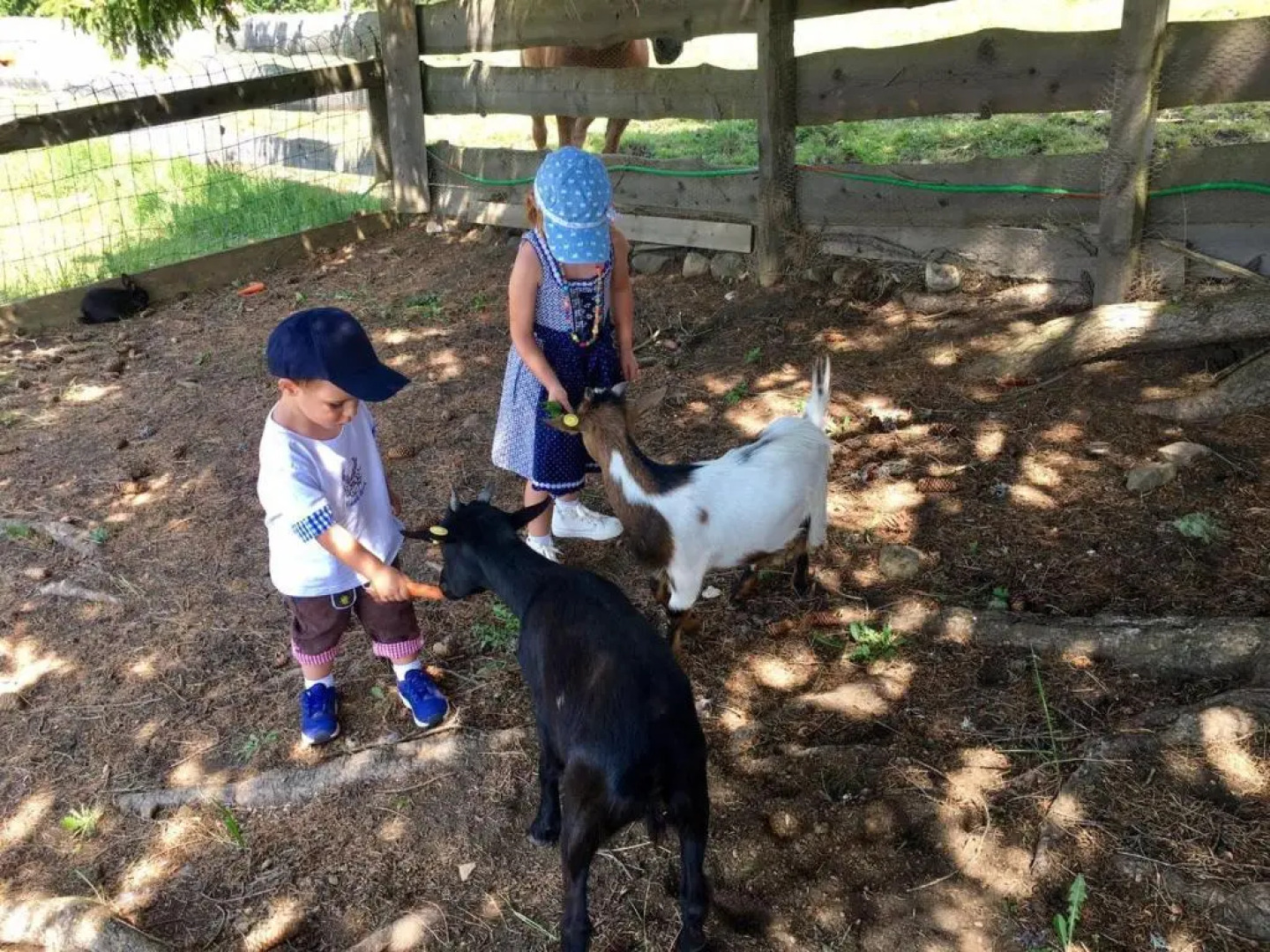 Sporthotel Monte Pana