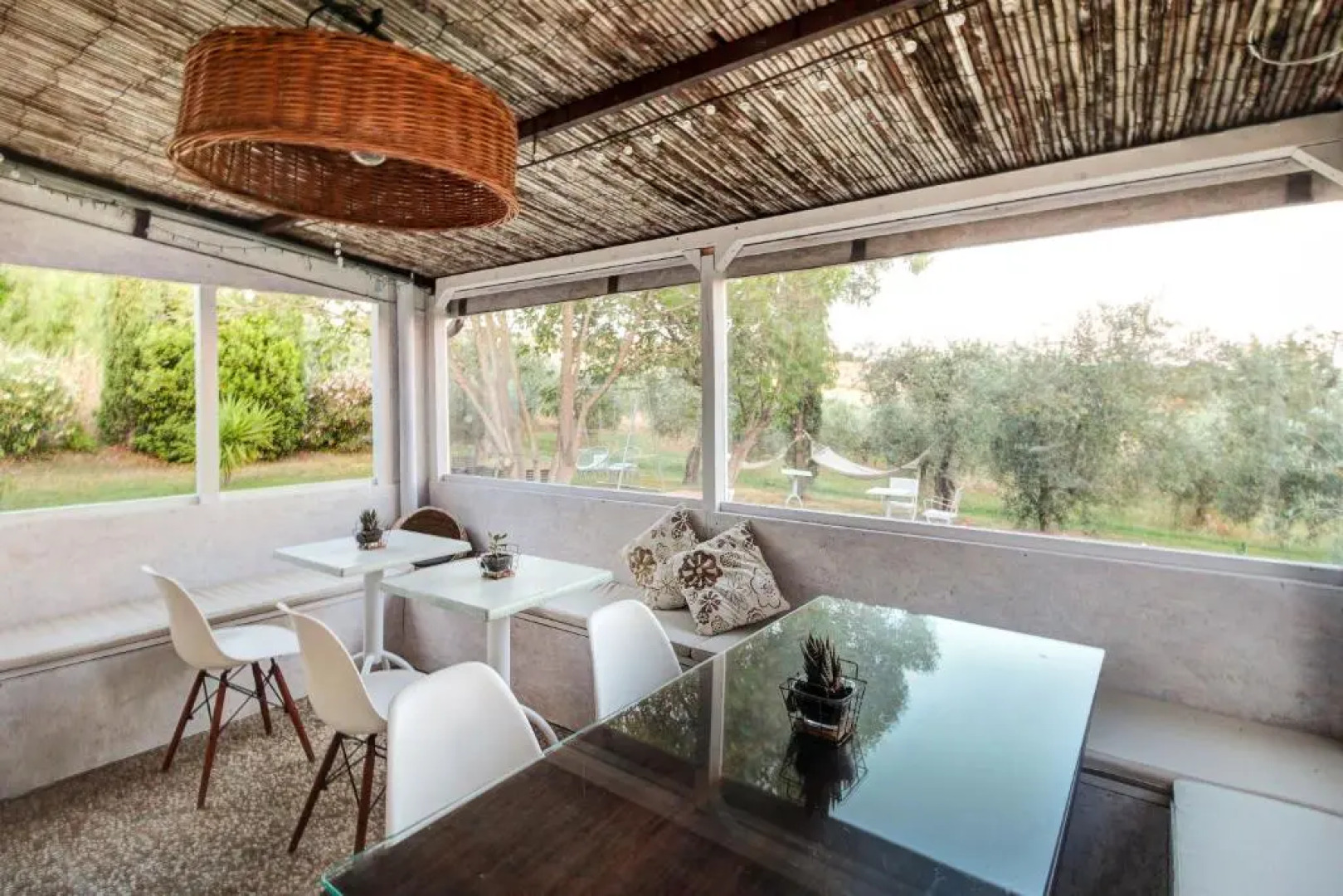 Artemisia negli ulivi B&B