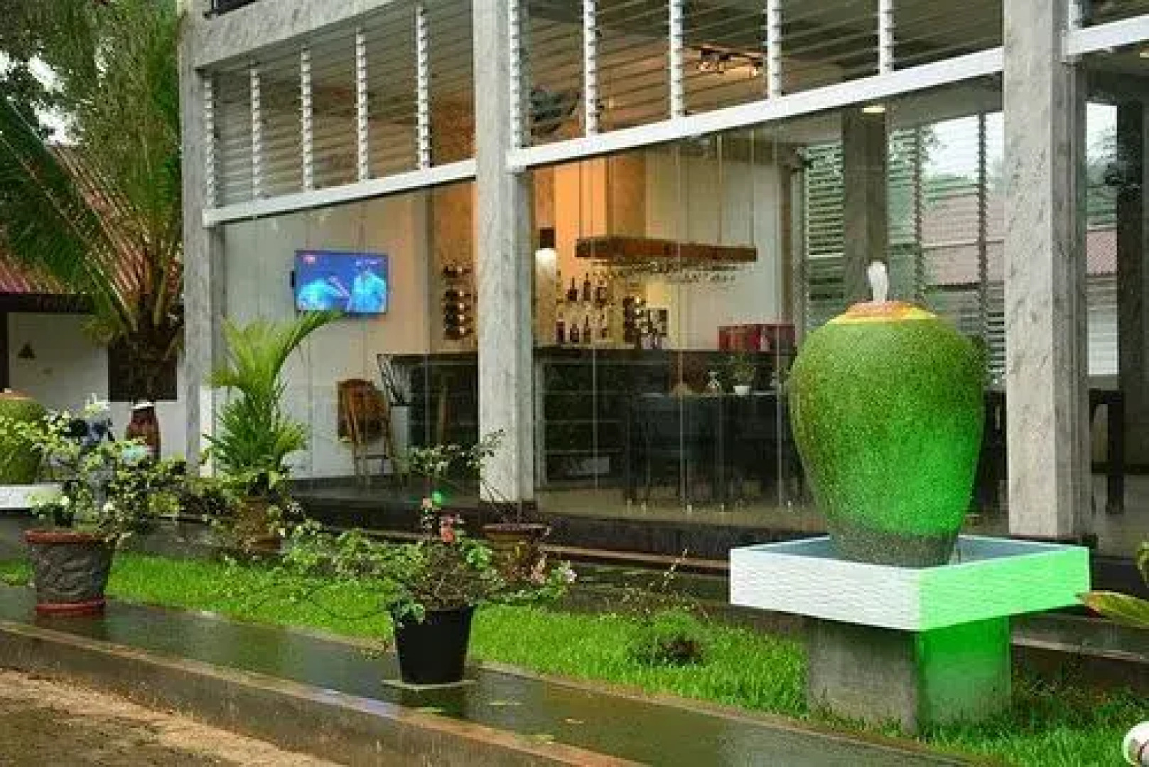 Oak Ray Elephant Lake