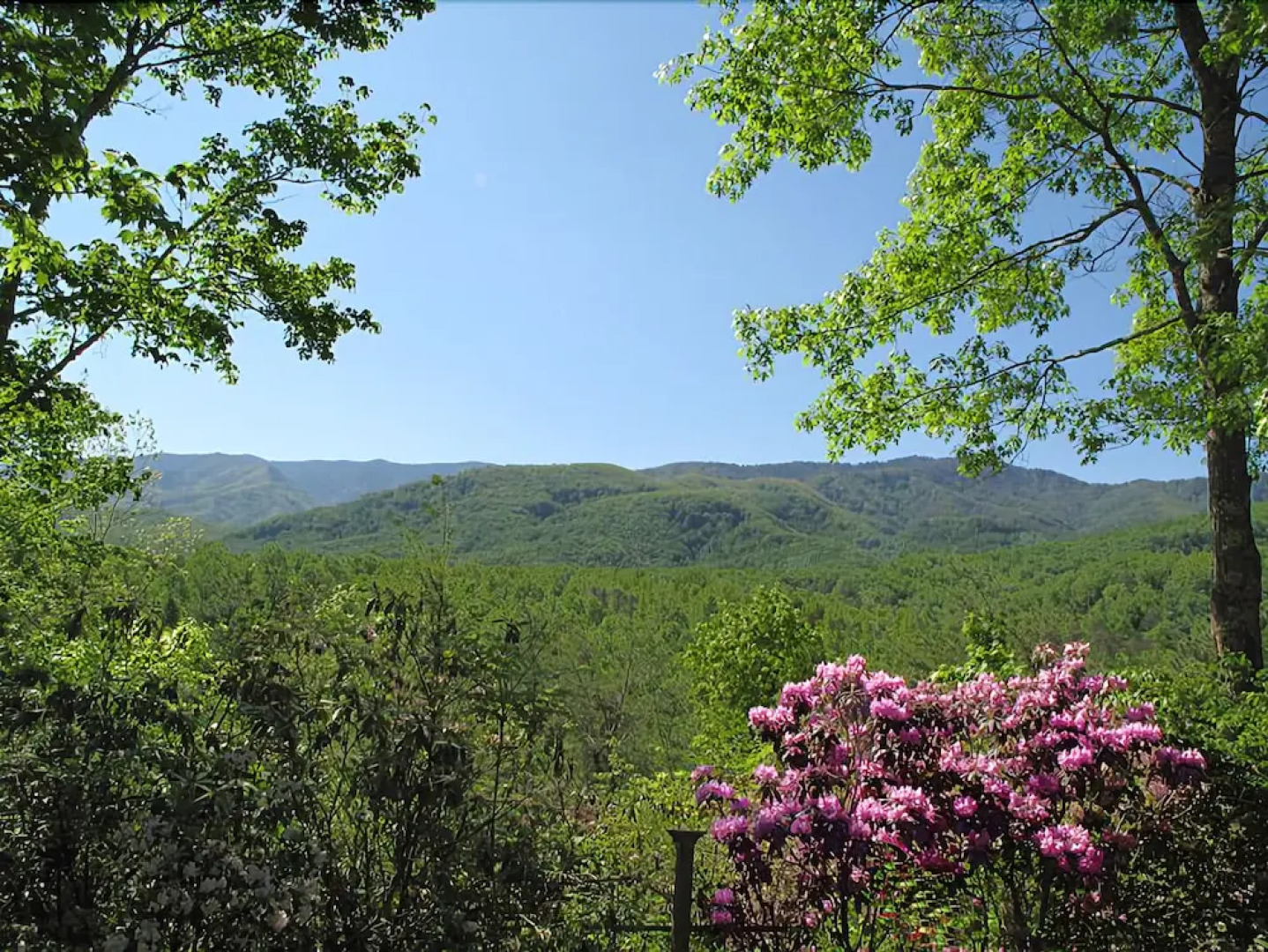 Seneca 1 Bedroom Home with Hot Tub