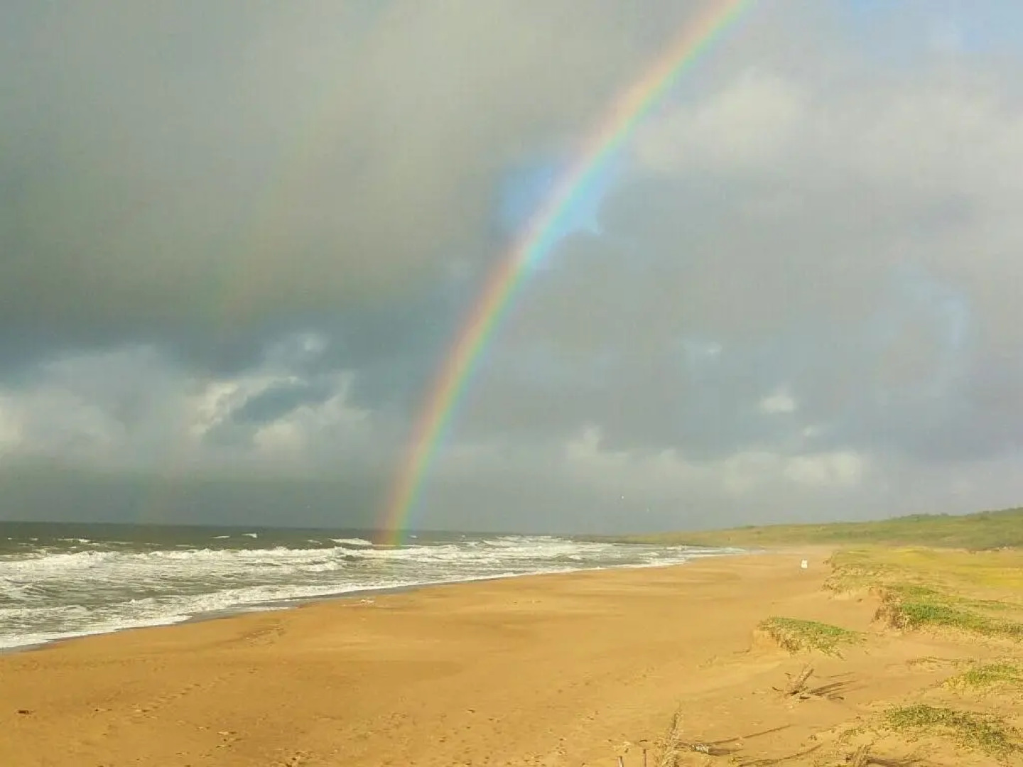 Noctilucas, cerquita de la playa + piscina climatizada