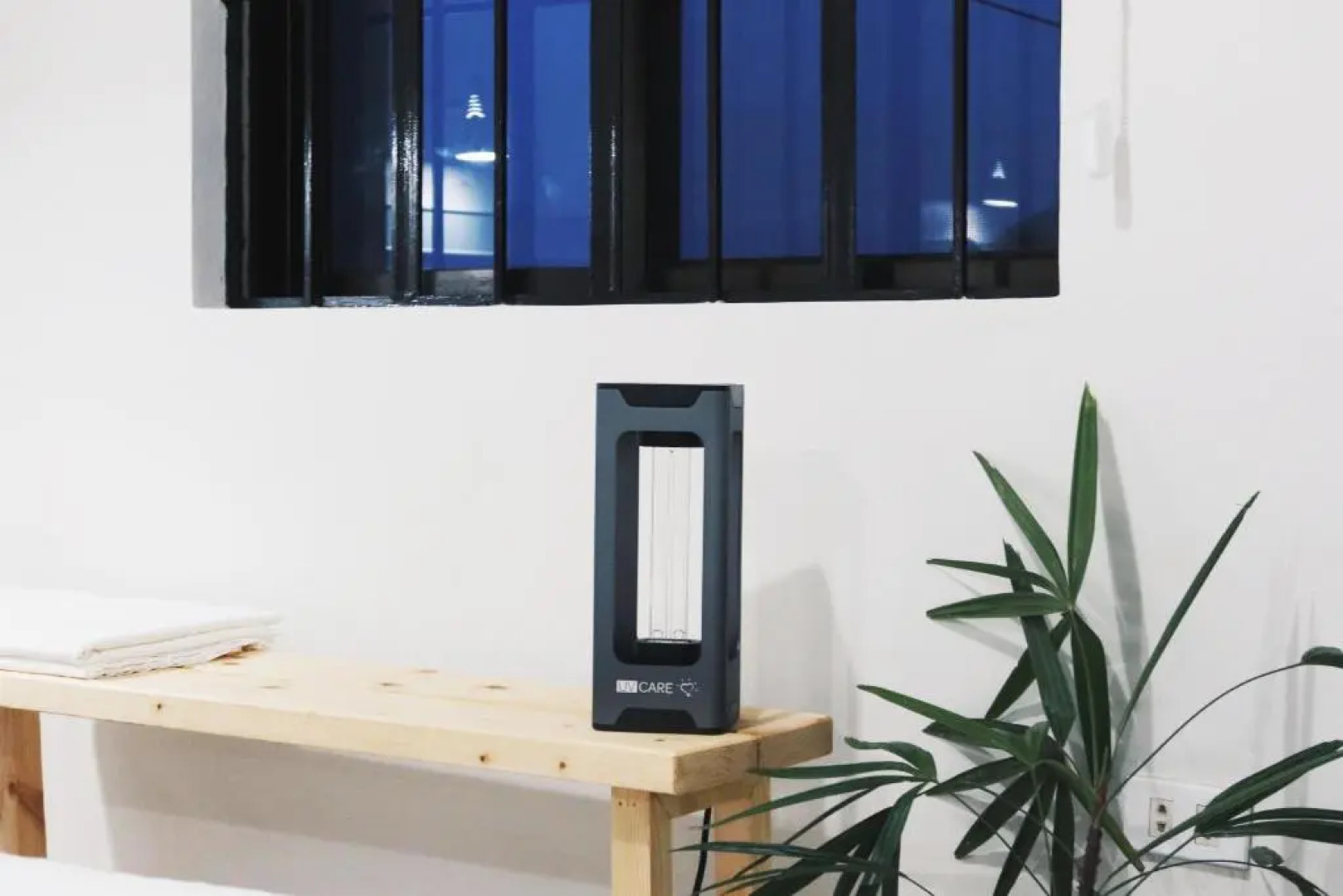 Dragonfly Transient House