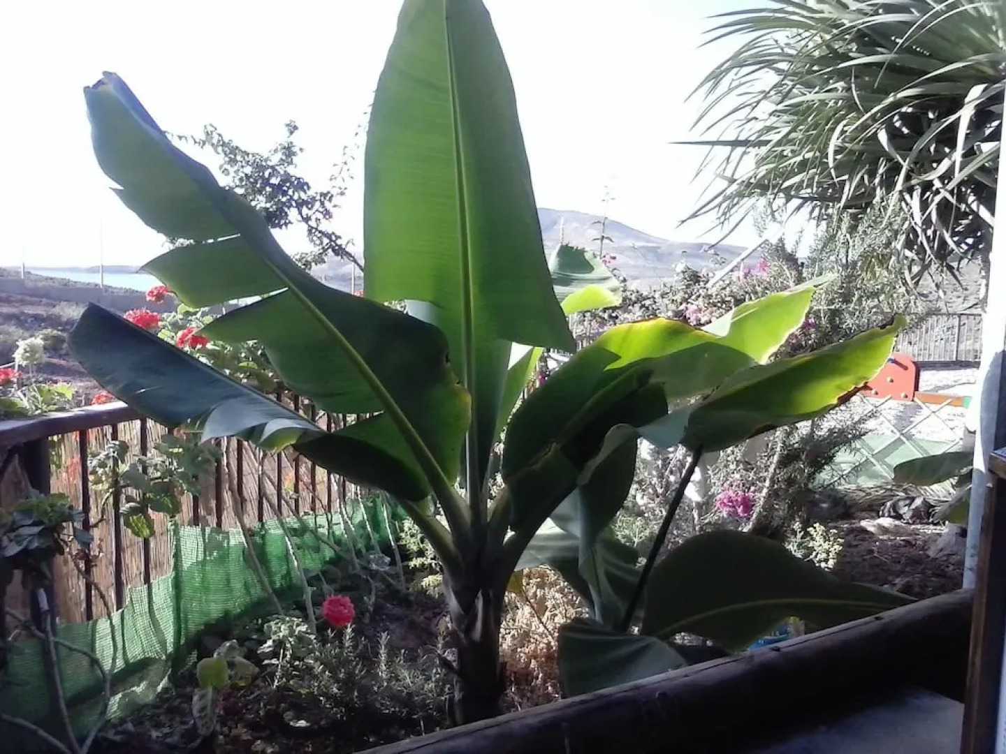 Camping Playa de Vargas