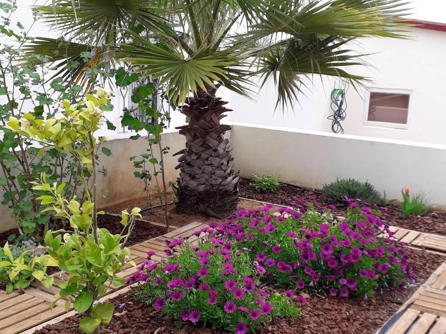 House With 3 Bedrooms in Loulé, With Private Pool, Enclosed Garden and