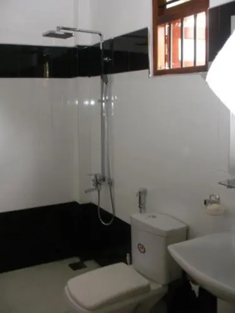 The White Swan House