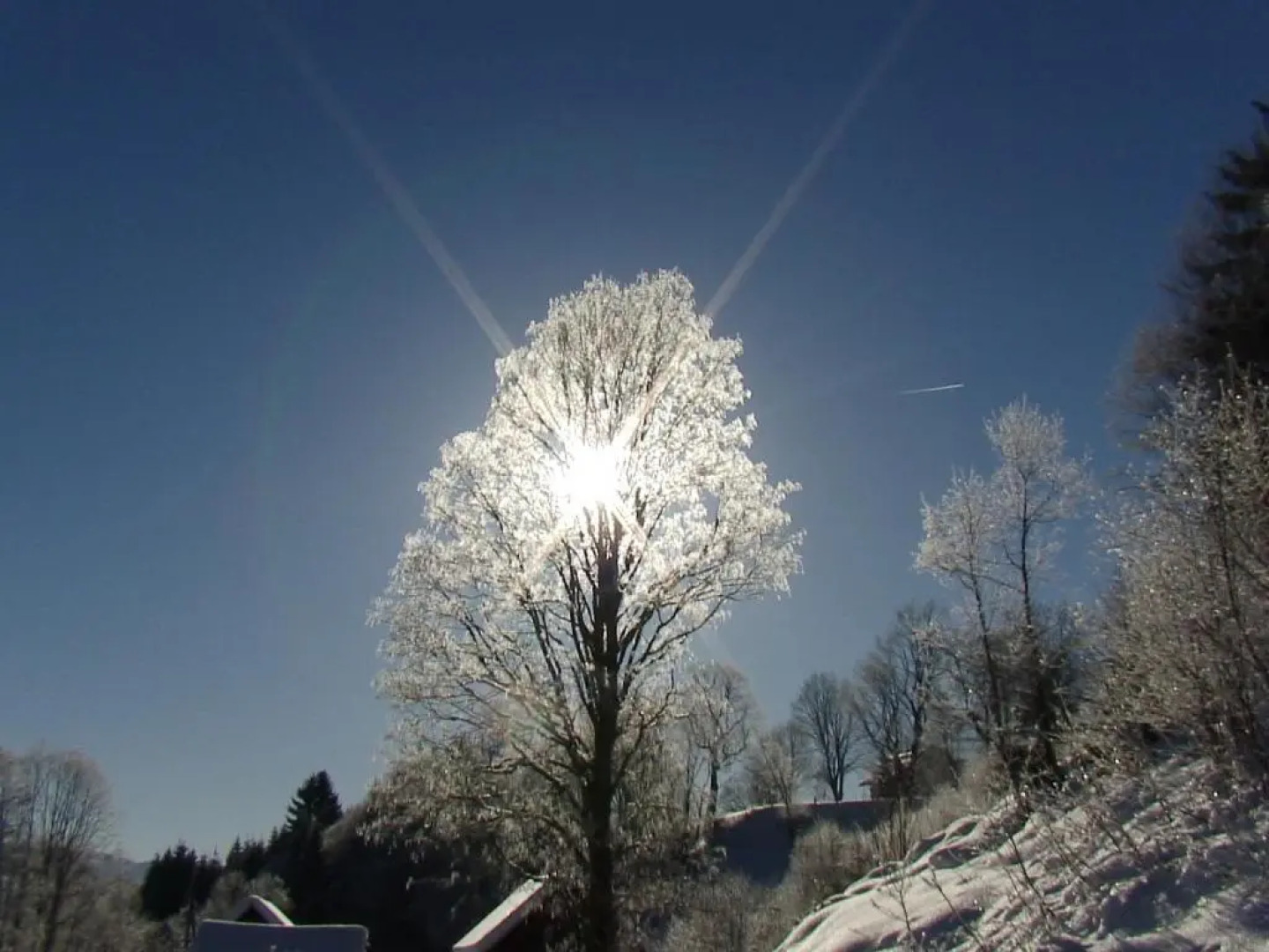 Landhotel Lacknerhof