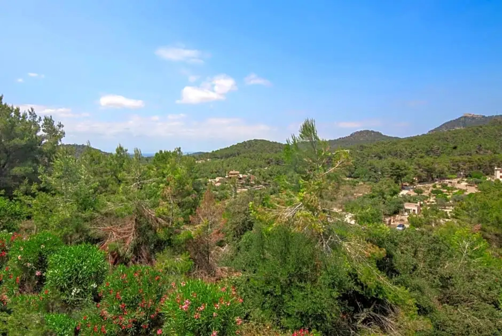 Finca Sa Fuente