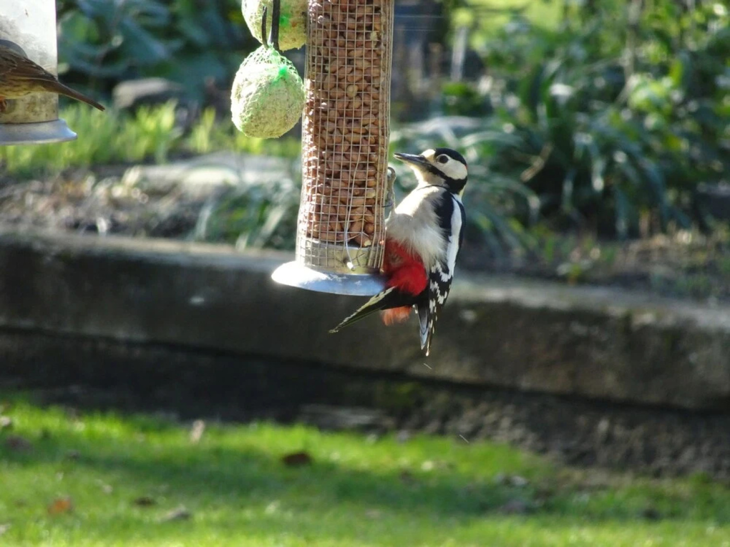 Drinkstone Park Bed And Breakfast