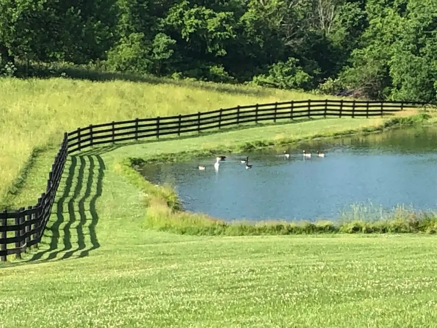 Willow Bend Farm