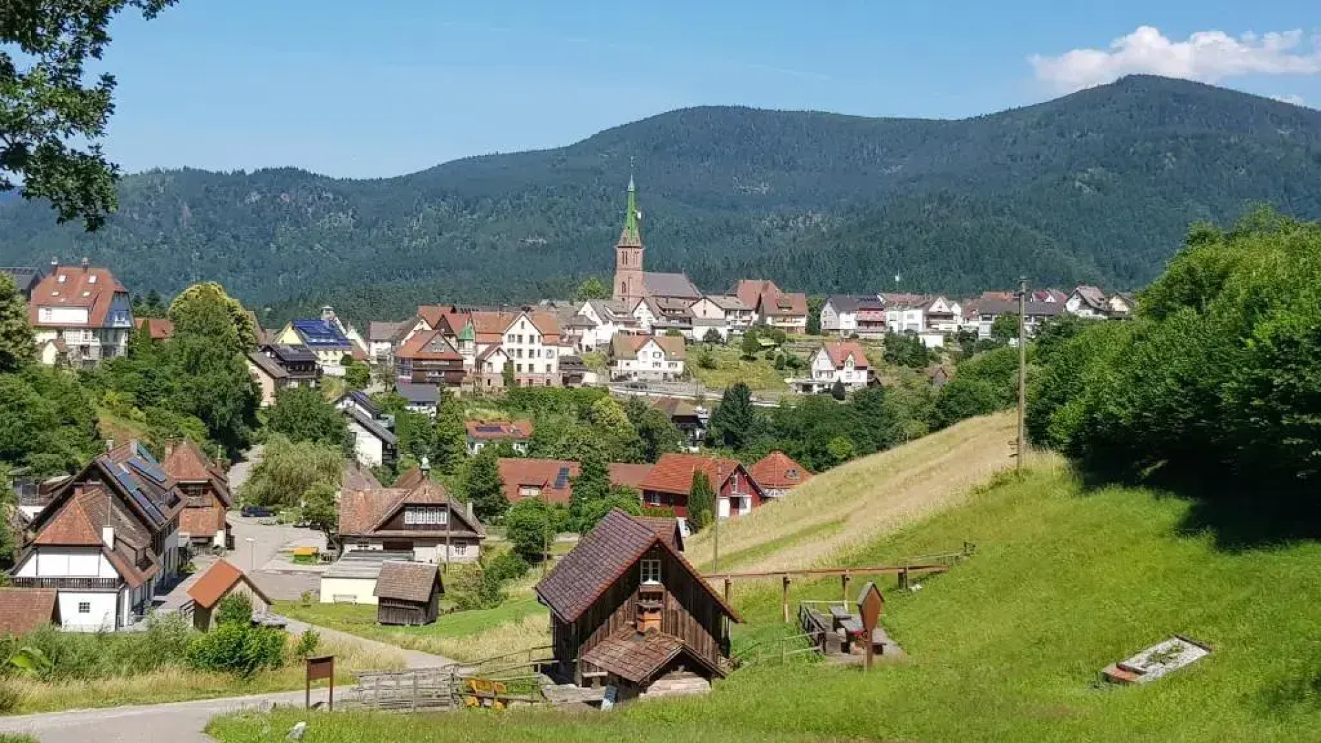 Ferienwohnung Pusteblume