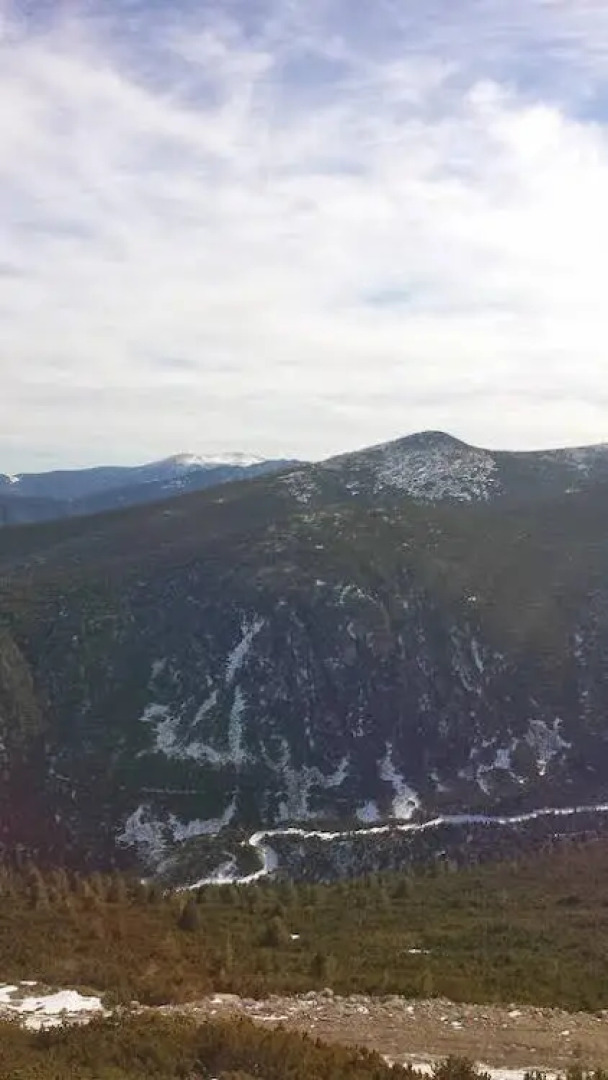 Studio in Hotel Flora Borovets