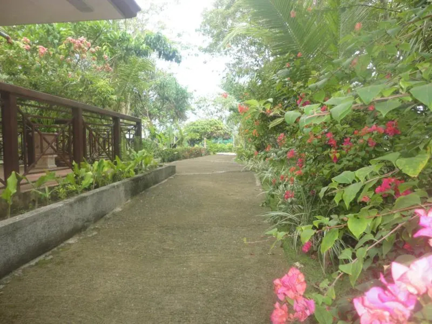Haruhay Dream Resort and Restaurant
